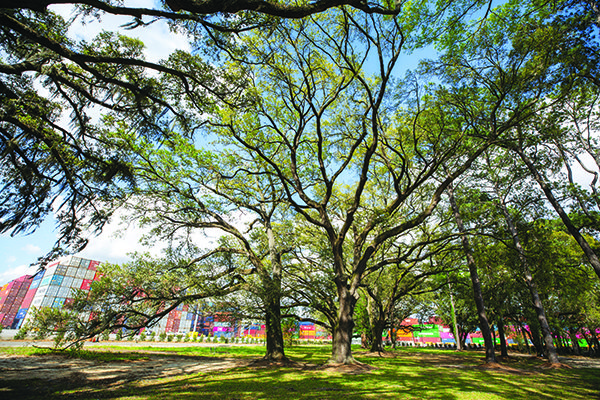 Dedication of Live Oak Park