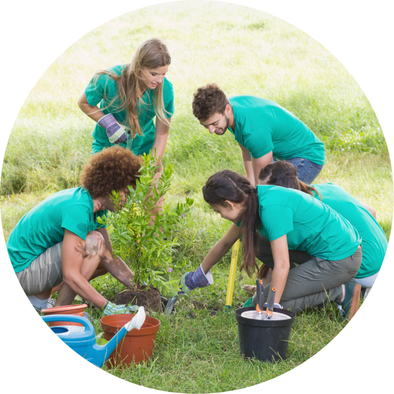 Environmental Stewardship