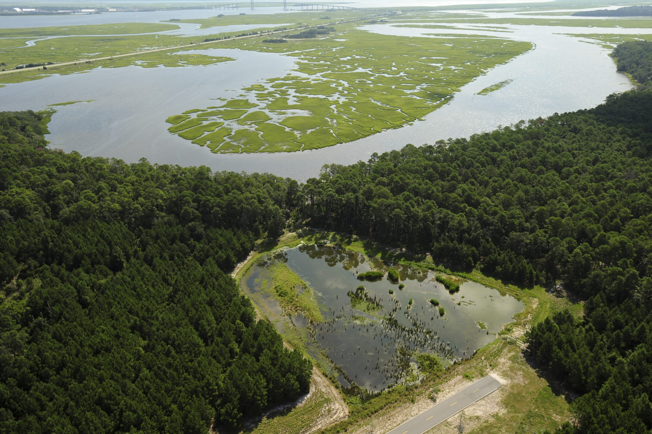 Environmental Stewardship